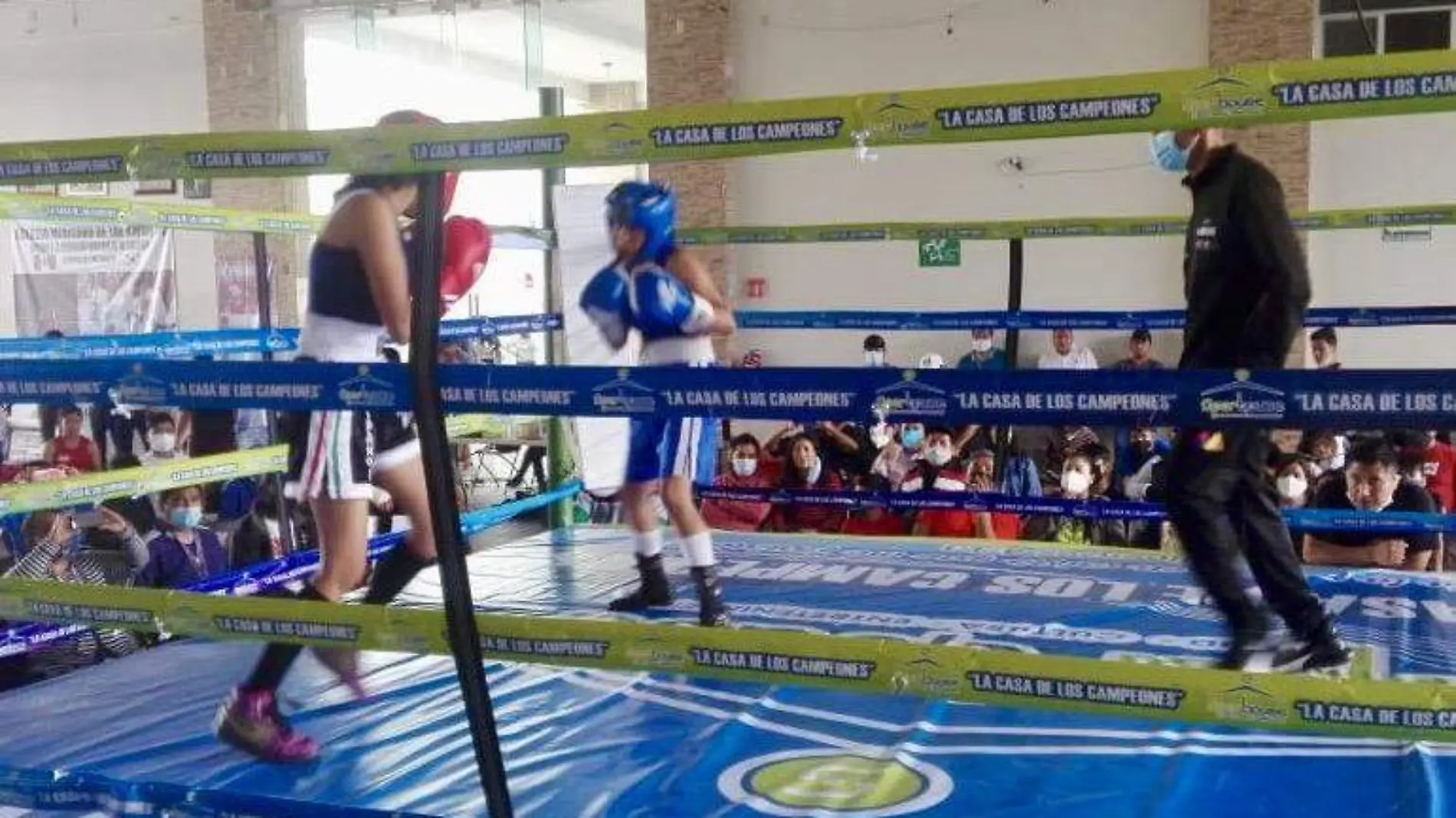 Boxeo2