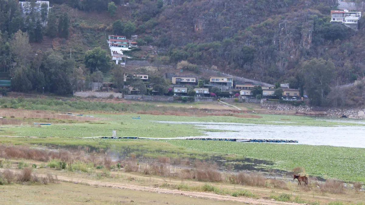 20220213174902_IMG_0455