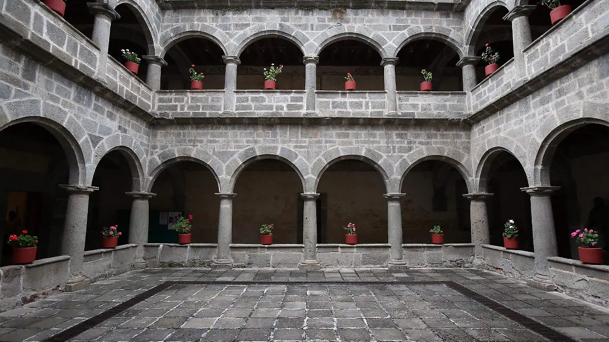 LARGA VIDA AL MUSEO 6