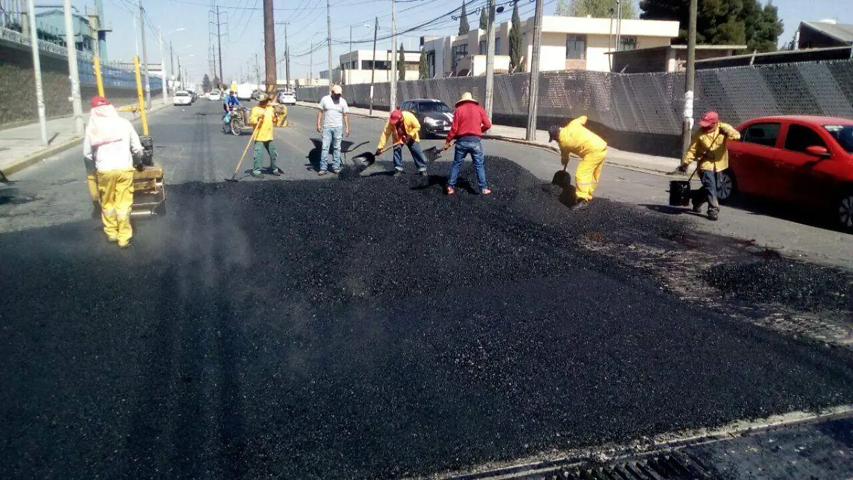 bacheo