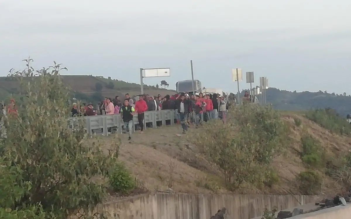 manifestación