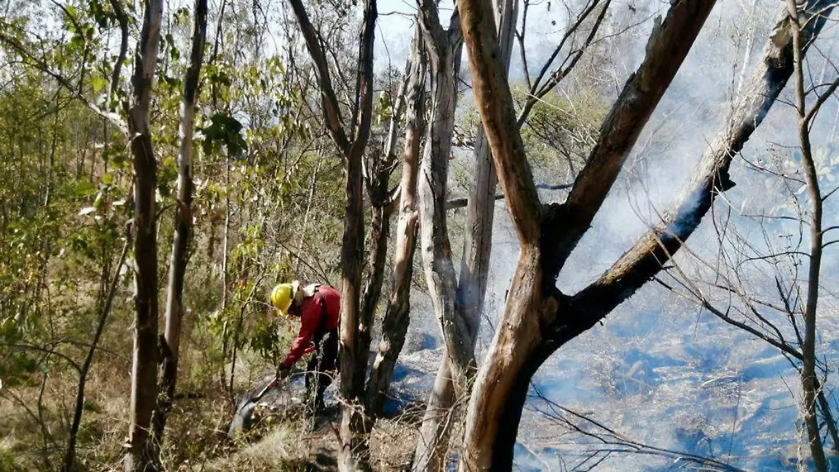 incendio sierra de guadalupe