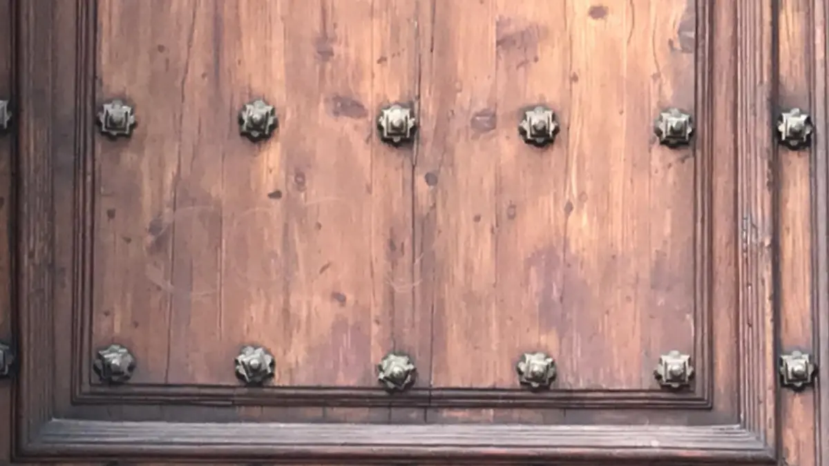 puerta palacio nacional