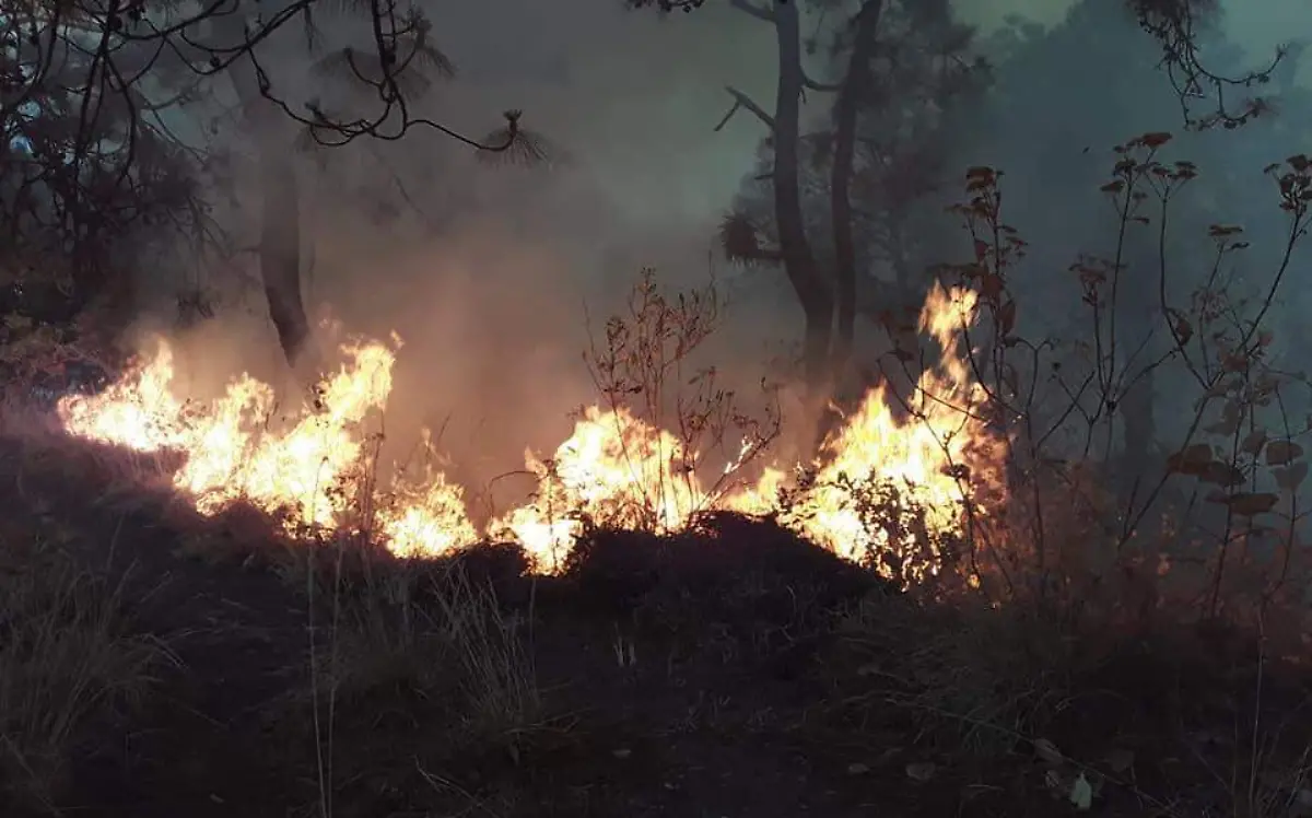 IncendiosForestales_BomberosValledeBravo2