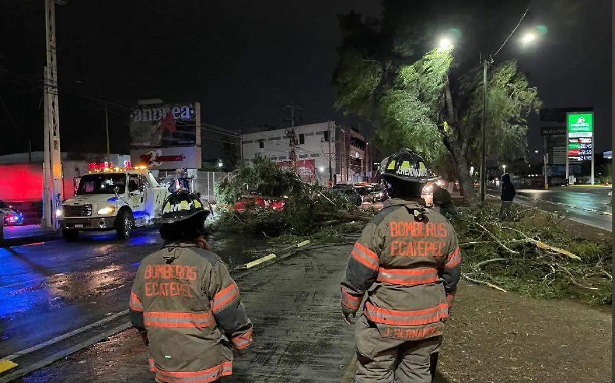 WhatsApp Image 2021-04-29 at 09.31.34