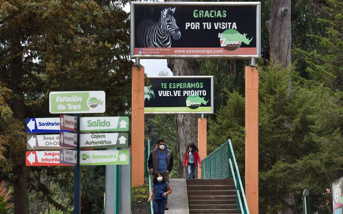 764551_Reapertura Zoológico de Zacango -3_web
