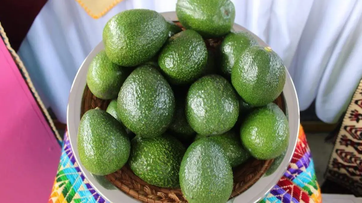 aguacates