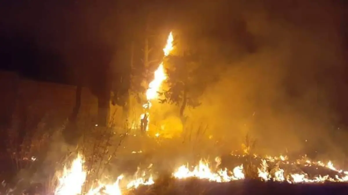 FB_IMG_1581265453364