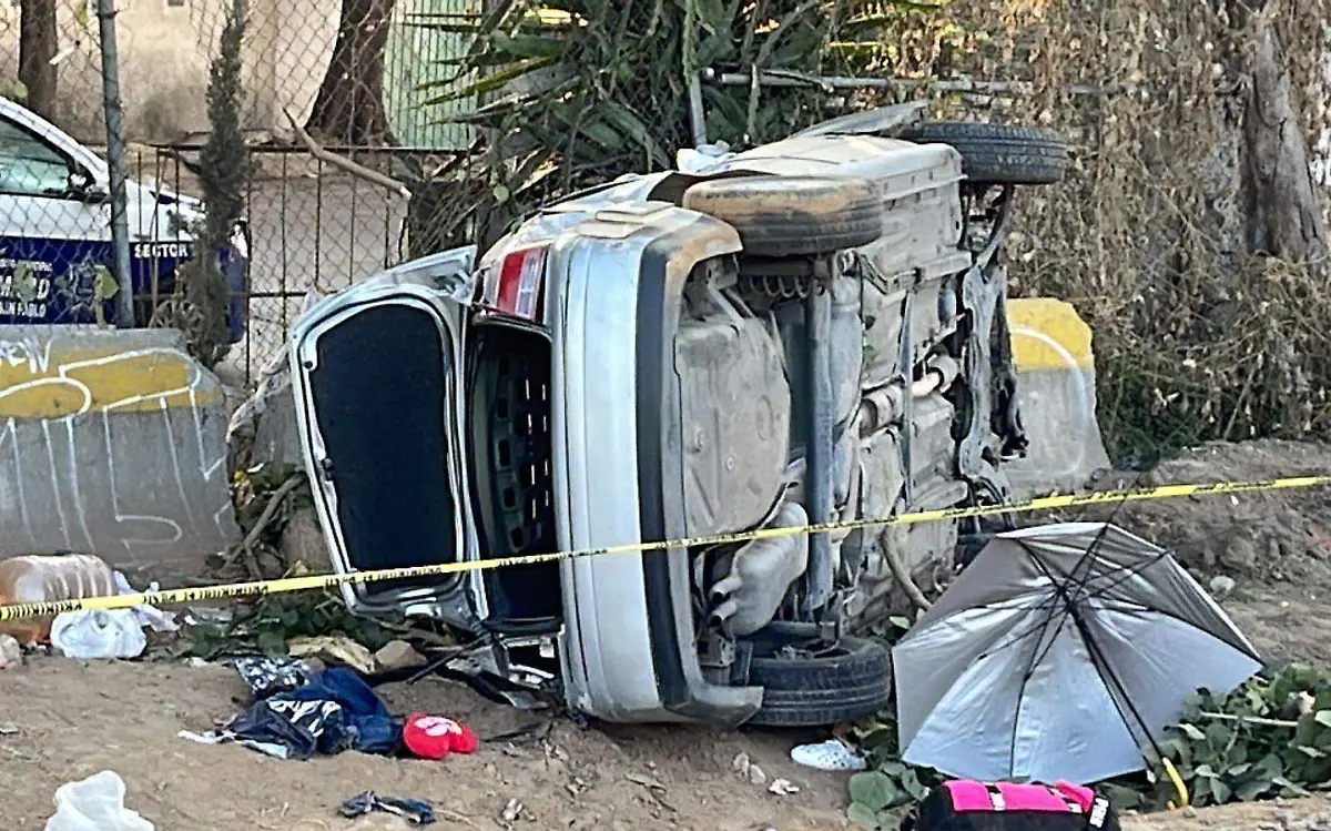 WhatsApp Image 2021-12-06 at 08.13.00