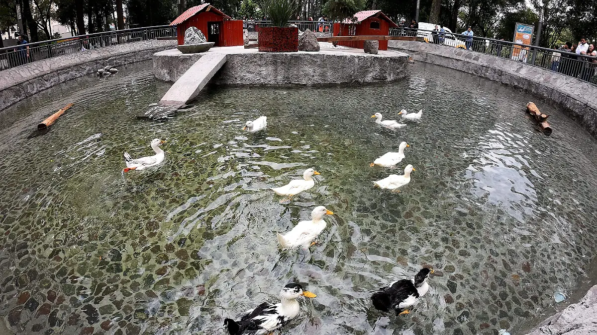 PATOS 09