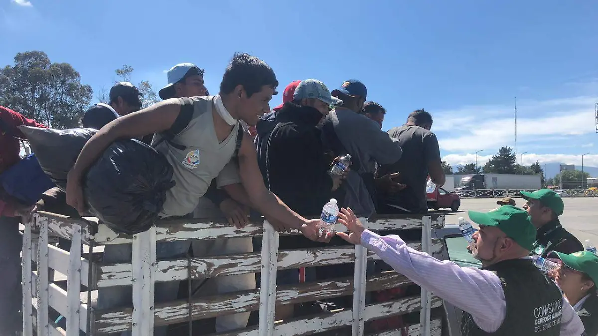 WhatsApp Image 2018-11-05 at 14.24.31 (1)