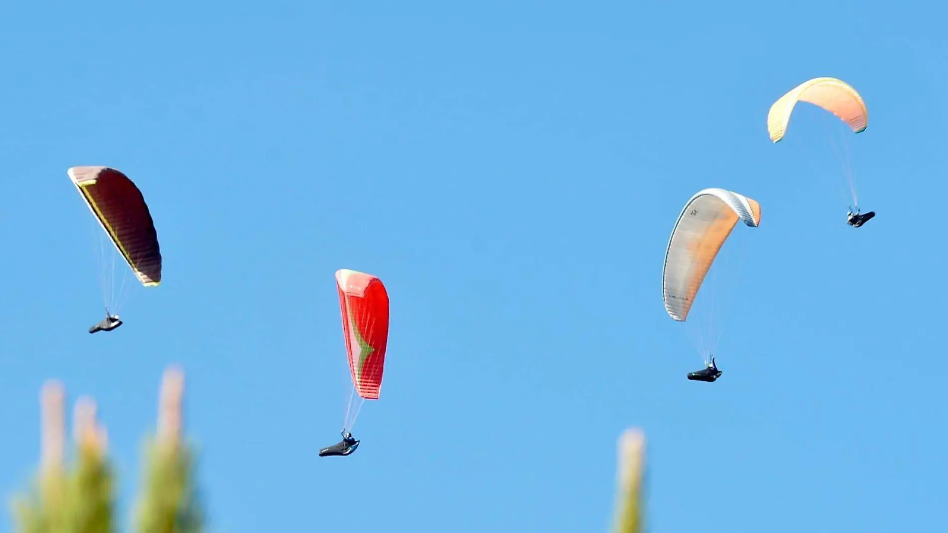 Parapente2