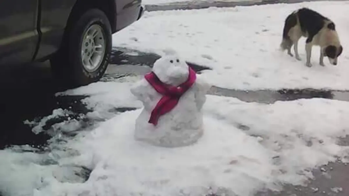 adaa1347-ec24-422d-bdf4-32fc65496446