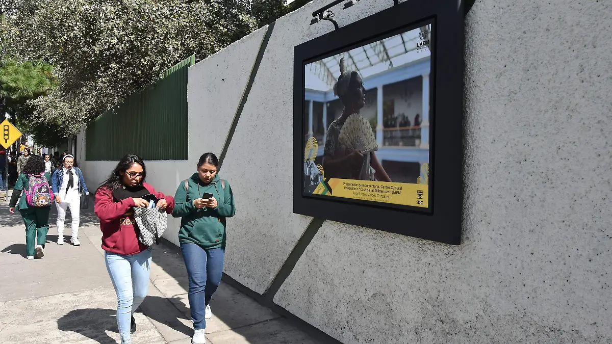 COLECTIVO UAEMEX (1)