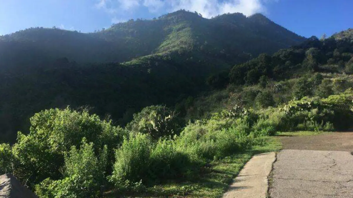 sierra de guadalupe