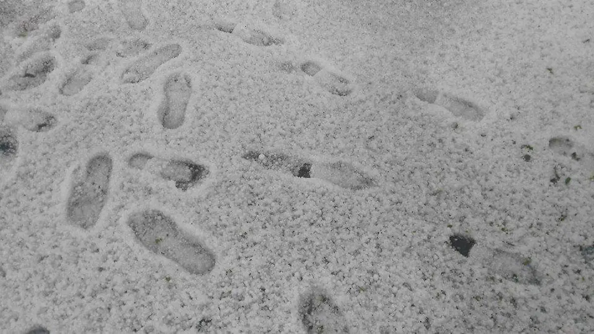 1a7ac5a3-d2bb-4c44-a065-6222fb7c8d0a