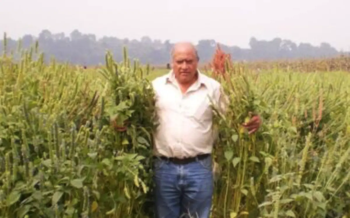 Ecologista