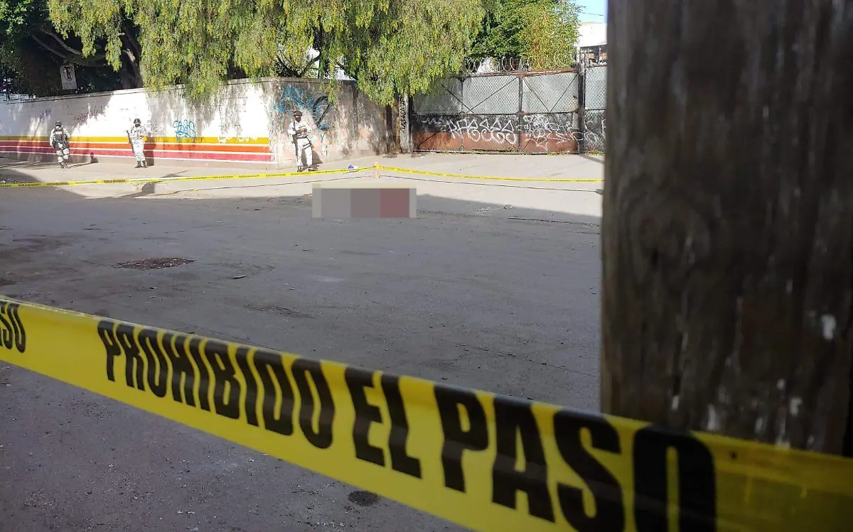 WhatsApp Image 2023-08-24 at 09.15.05