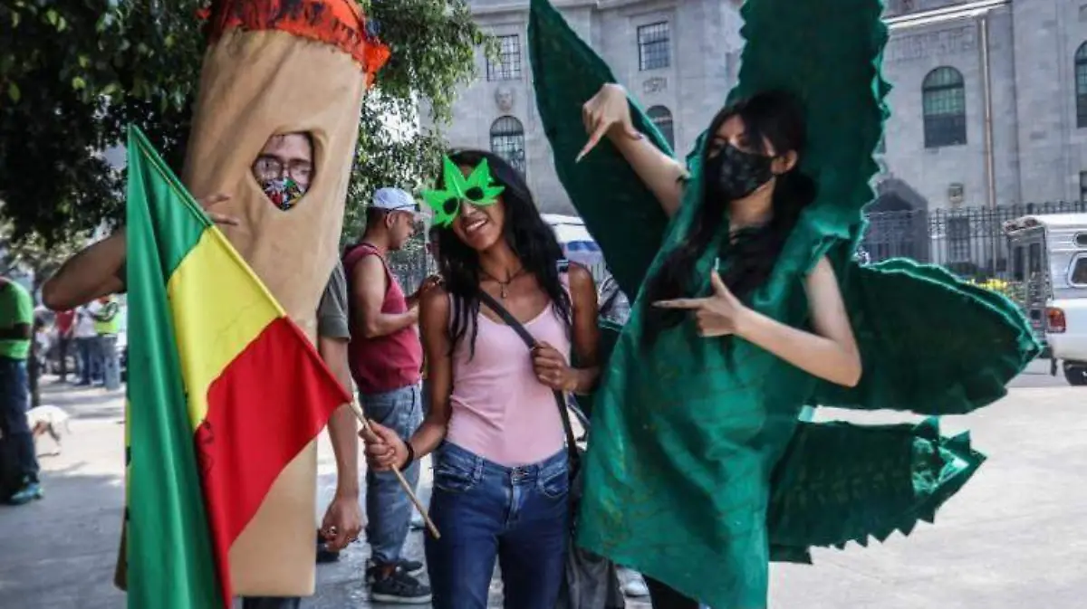 cannabis