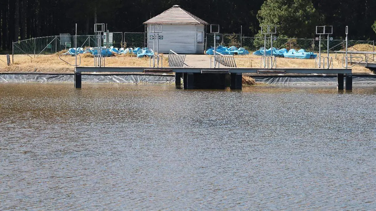 lanchas laguna parque bicentenario