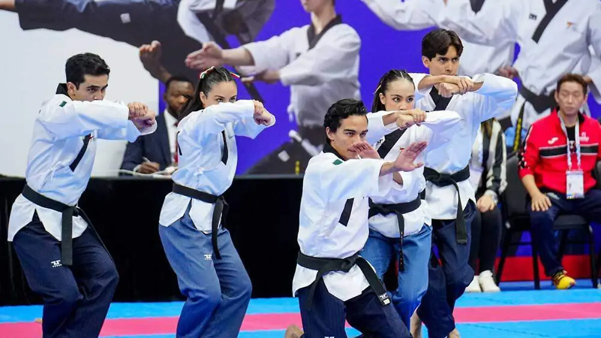 Taekwondo Estado de México
