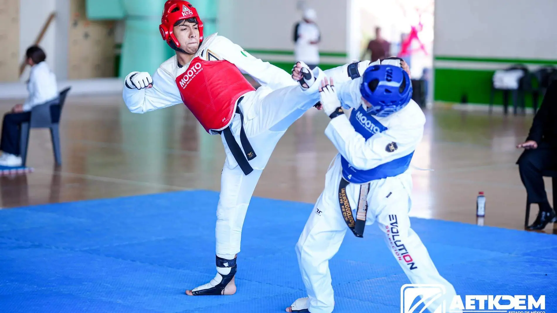 Taekwondo1