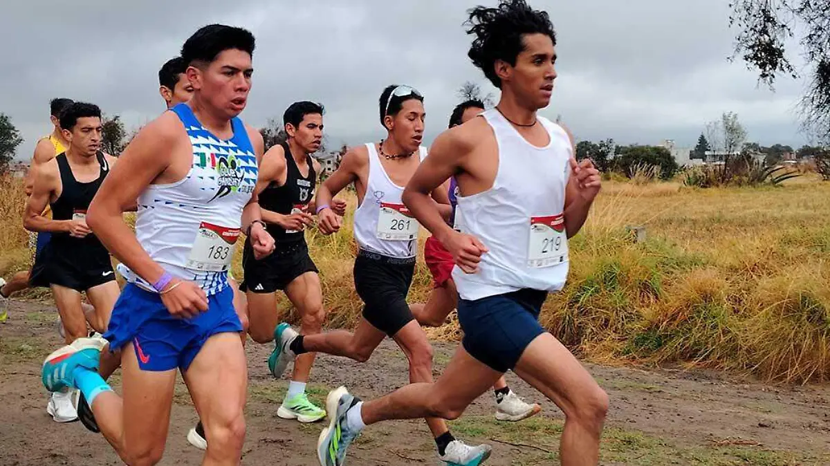 Campo Traviesa Estado de México