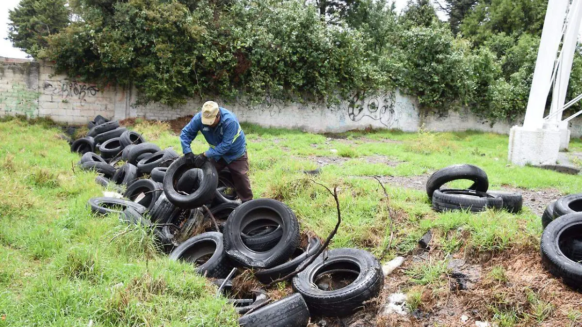llantas San Mateo Atenco