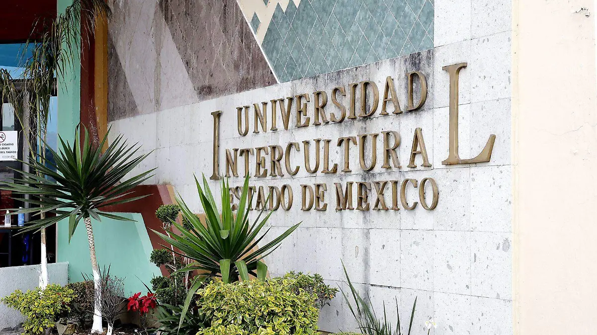 Universidad Intercultural 3