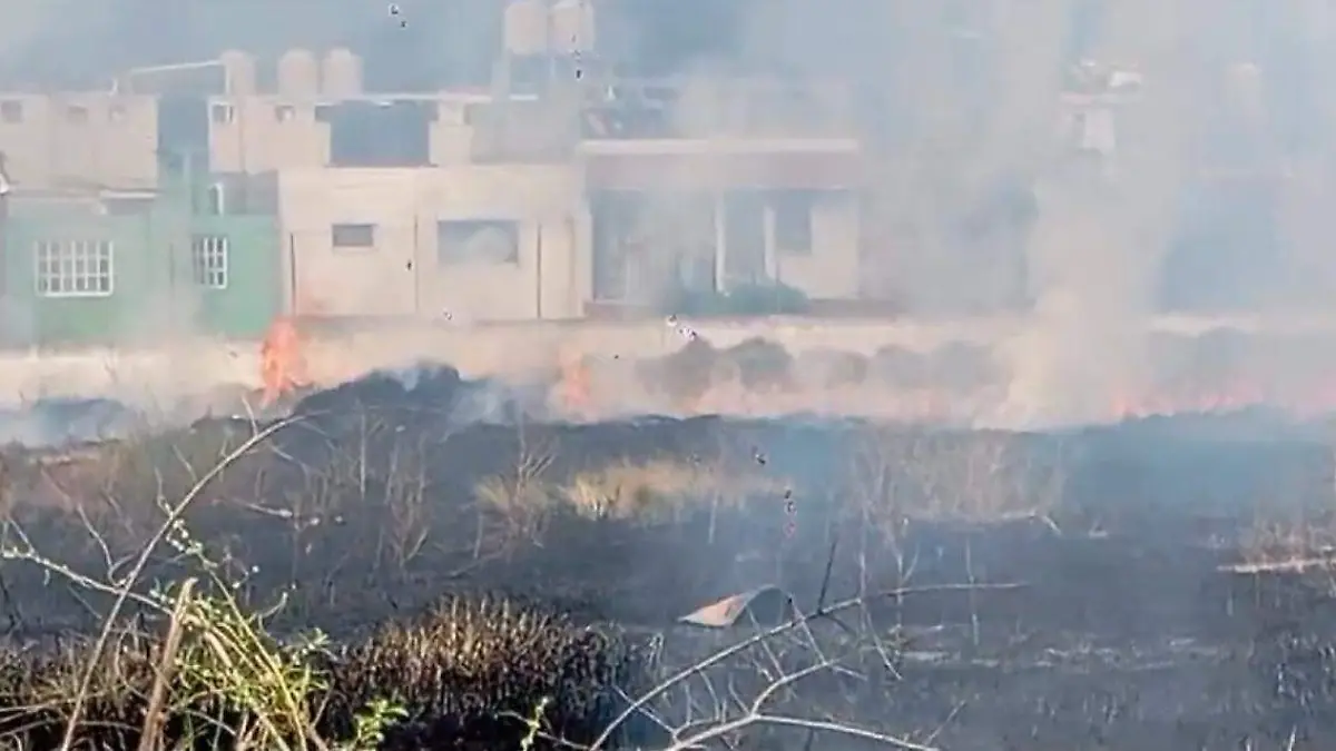 Image 2024-12-06 at 15.35.54 (2)