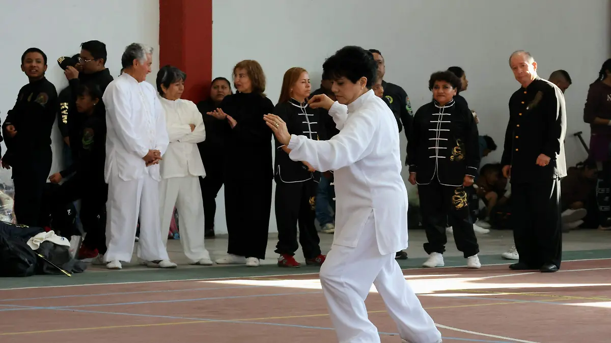 Wushu Toluca