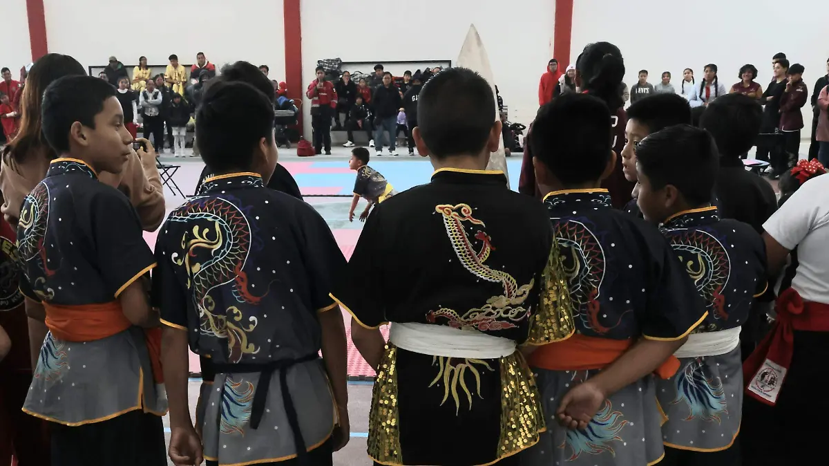 Wushu Toluca