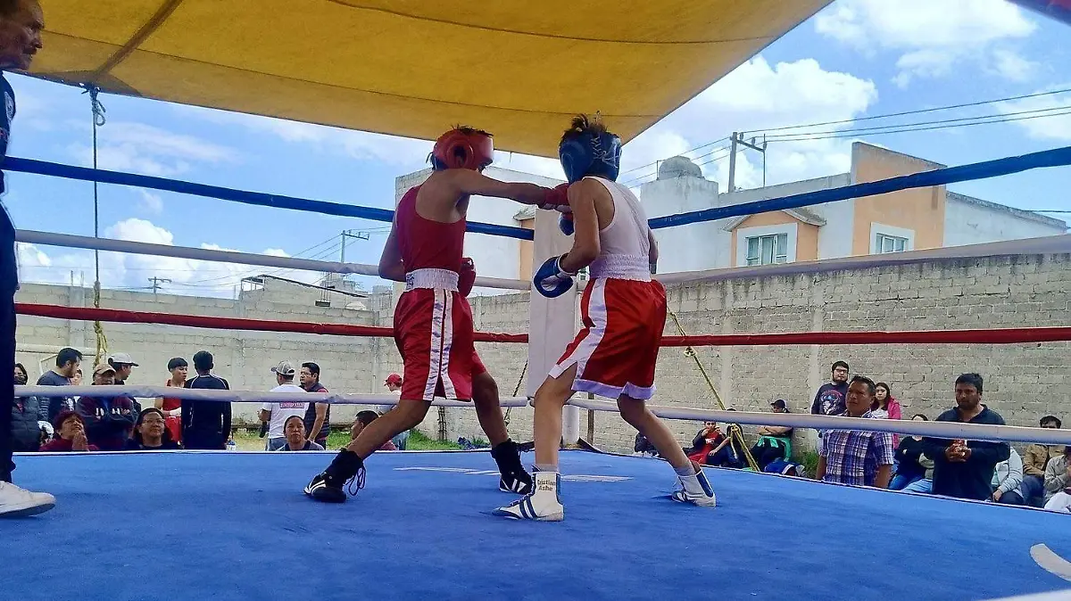 Boxeo1