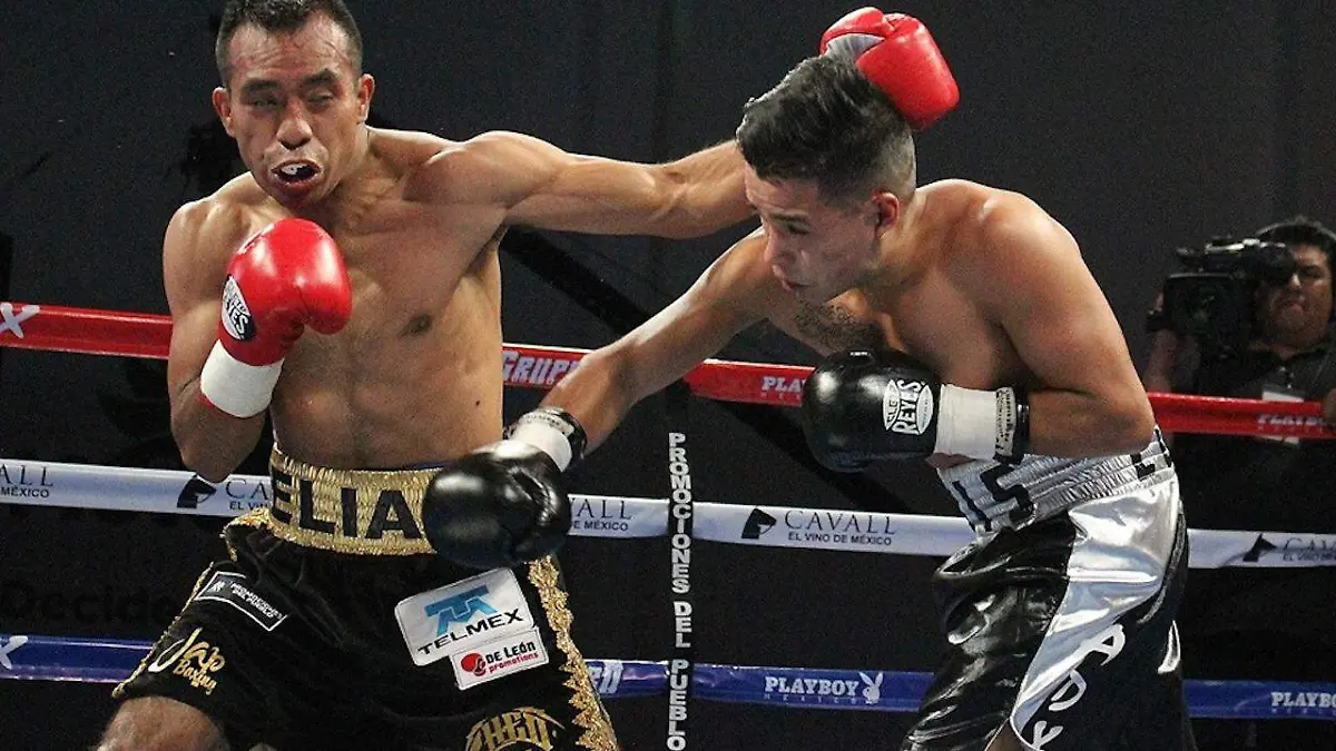 Boxeo1 (7)