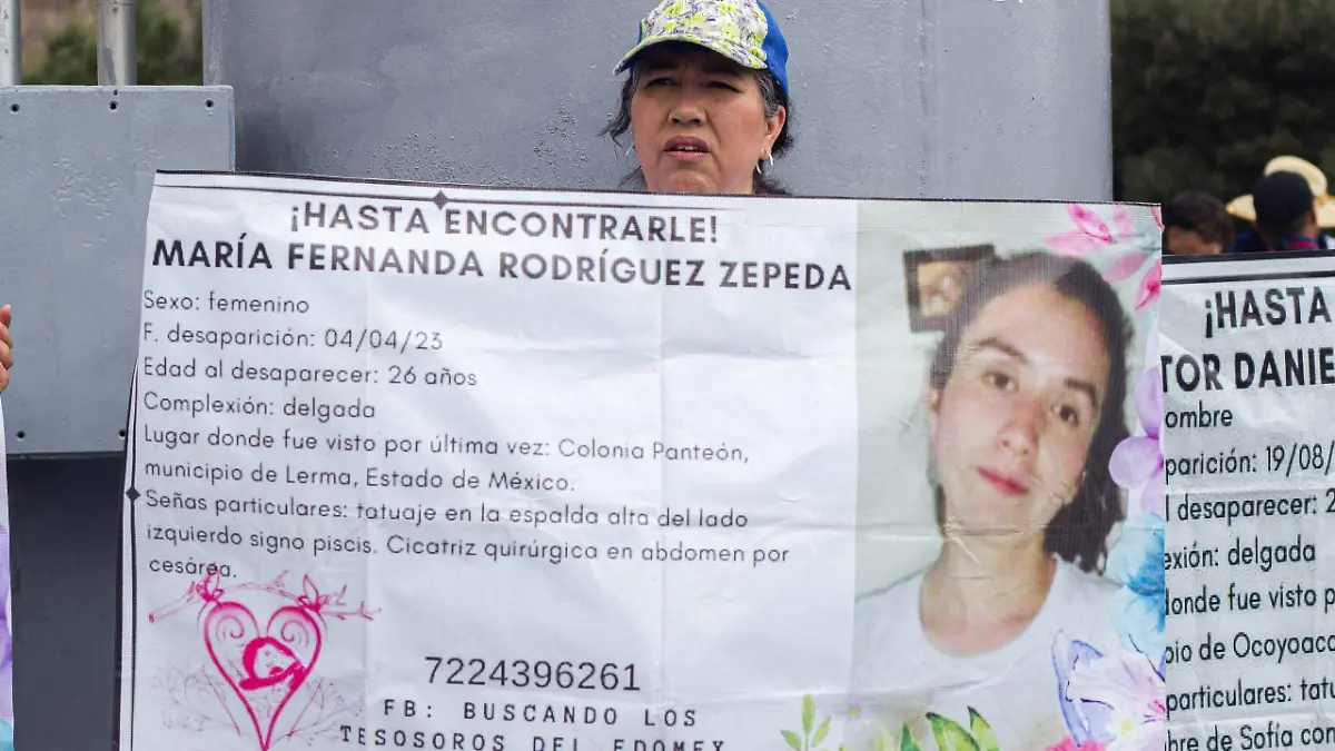 desaparecida-busqueda