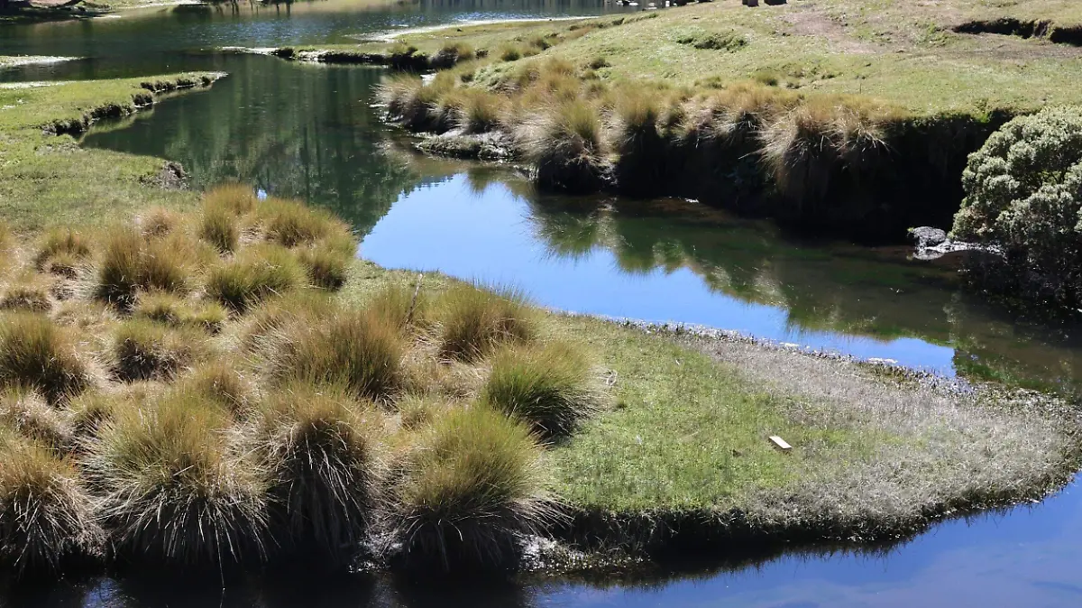 arroyo presa iturbide