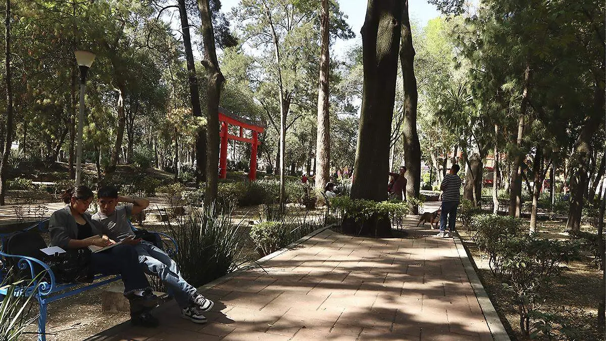 PARQUE 1