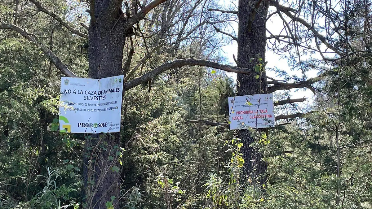 Tala clandestina Tlacotepec