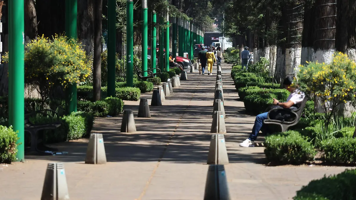 WhatsApp Image 2025-03-23 at 14.41.12