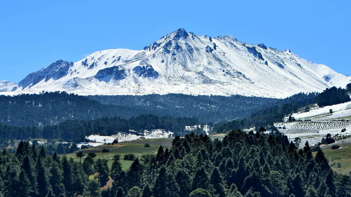 NEVADO