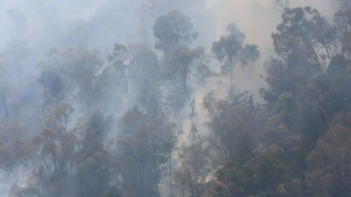 incendio-cerro-teresona