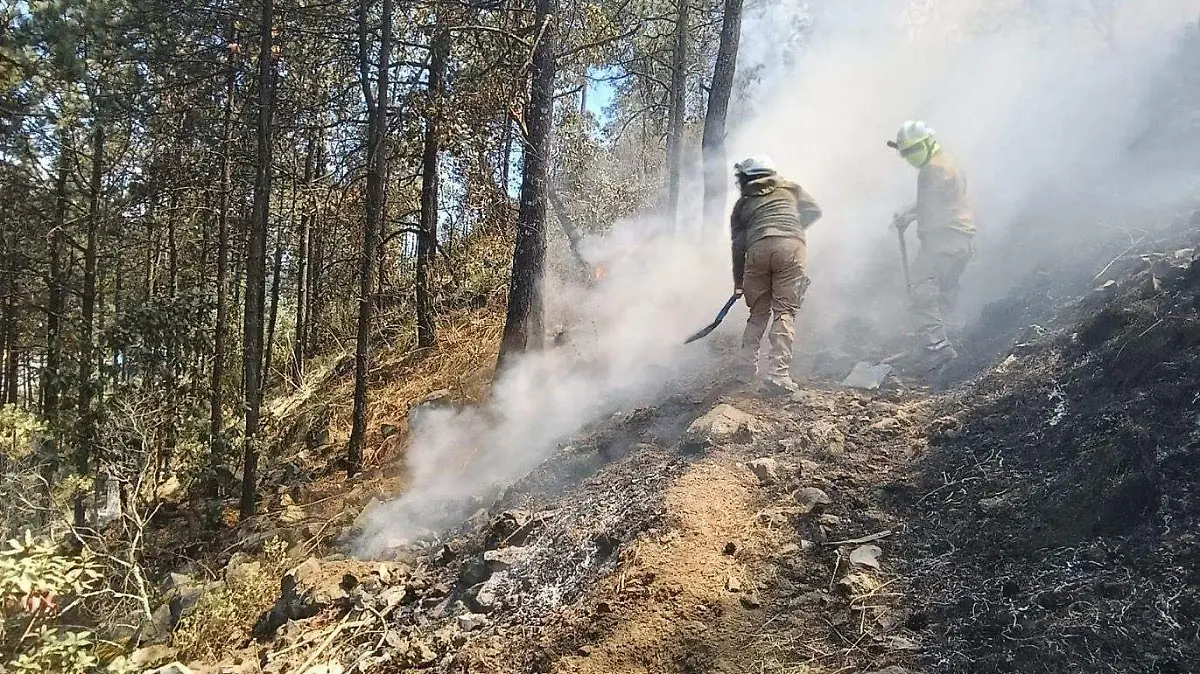 incendio Ocuilan 2