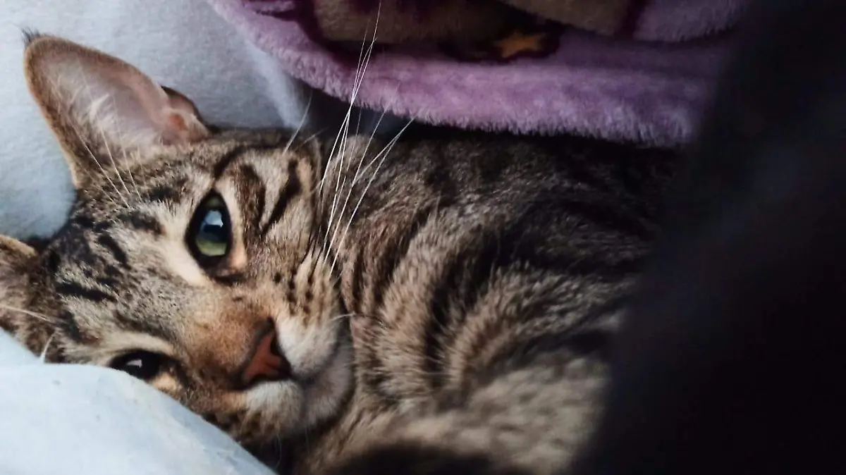 WhatsApp Image 2025-04-09 at 19.04.29