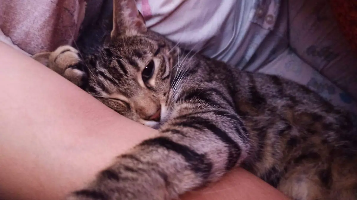 WhatsApp Image 2025-04-09 at 19.04.29 (1)