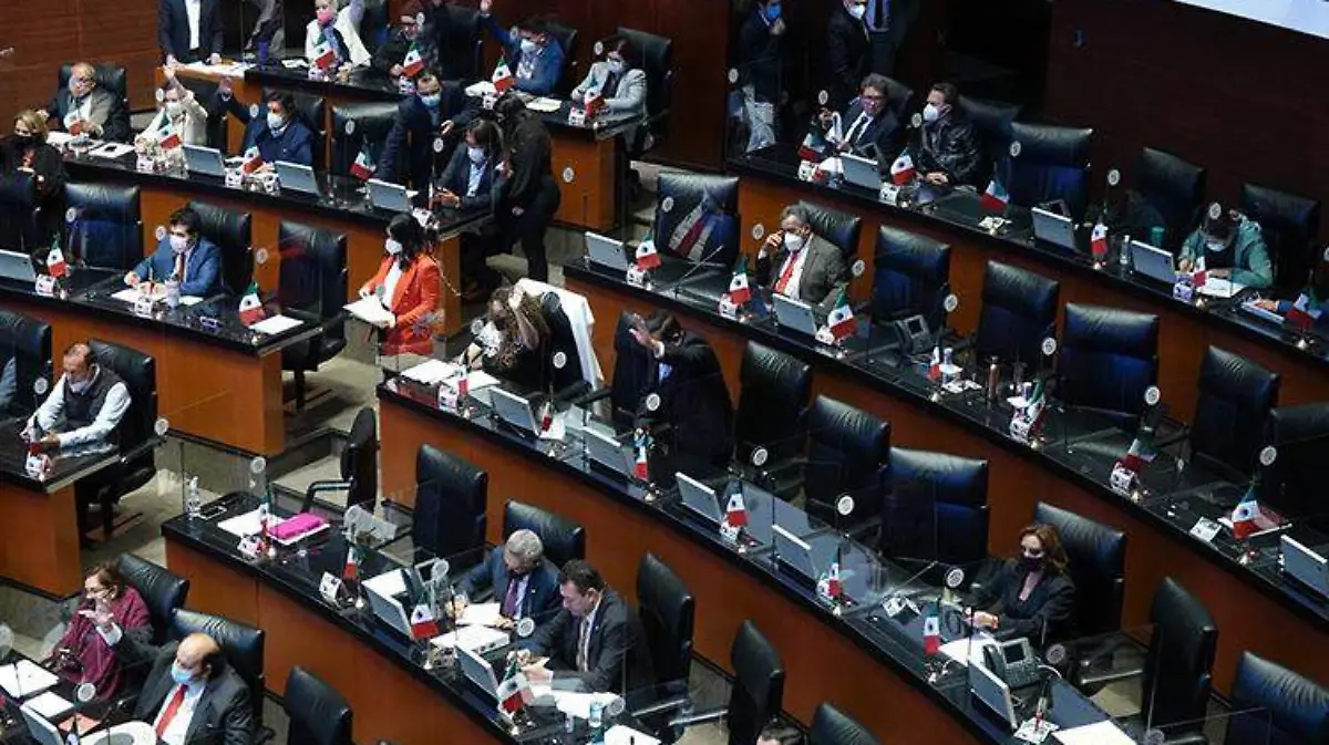 senado