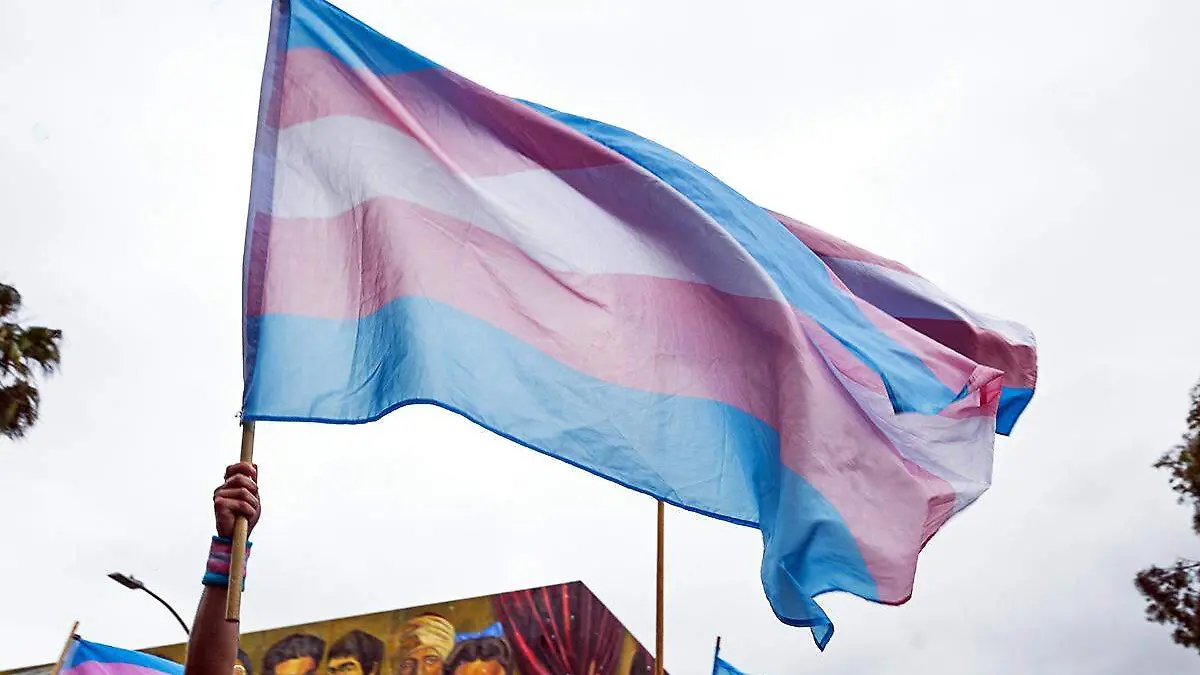 bandera trans