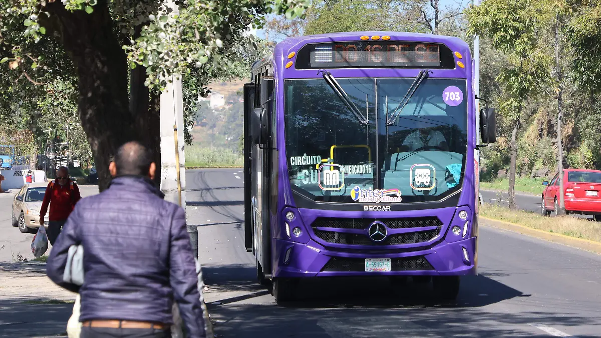 autobuses toluca 2