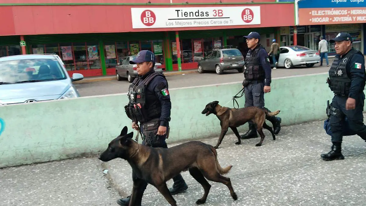 seguridad Toluca