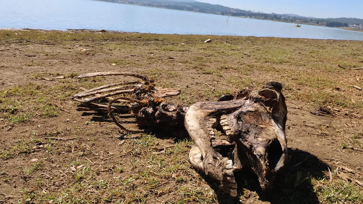 presa villa victoria