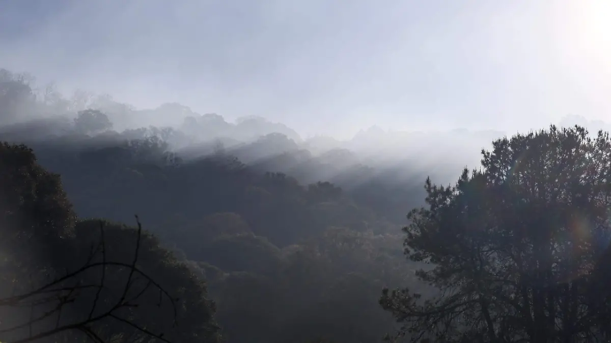 bosque-incendio-lerma